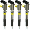 Transit Custom Diesel Injector