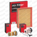 Vivaro B Fleet Filter Pack for Ten Vans